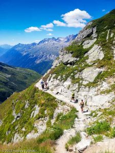 Stage Trail Découverte · Alpes, Massif du Mont-Blanc, Vallée de Chamonix, FR · GPS 46°0'15.93'' N 6°58'24.97'' E · Altitude 2448m
